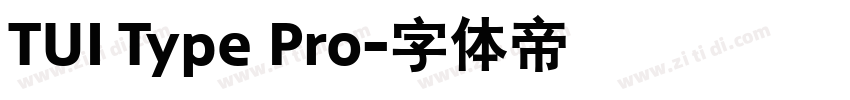 TUI Type Pro字体转换